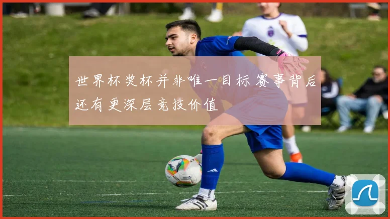 世界杯奖杯并非唯一目标 赛事背后还有更深层竞技价值