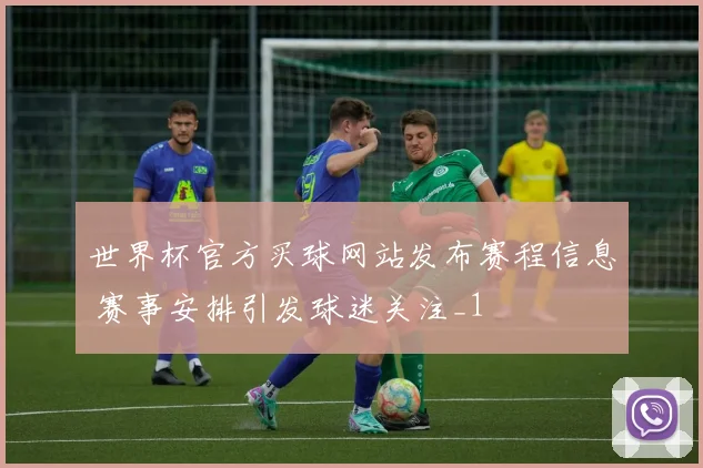 世界杯官方买球网站发布赛程信息 赛事安排引发球迷关注_1