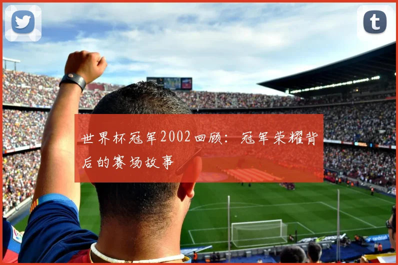 世界杯冠军2002回顾：冠军荣耀背后的赛场故事