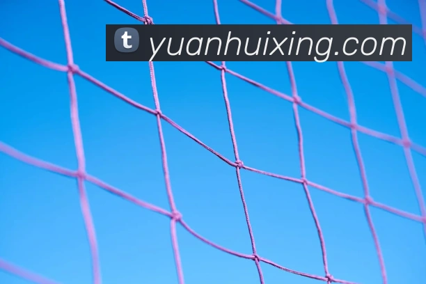 数据防护可视化